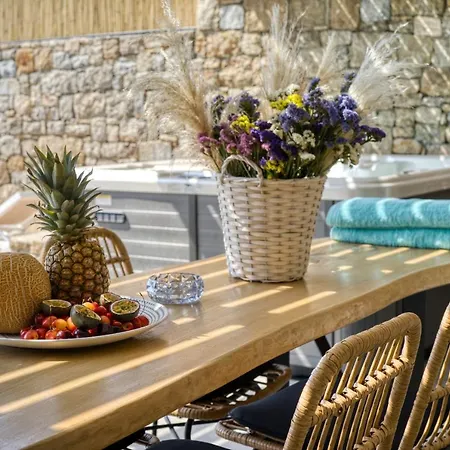 Tatil Evi Nefeli & Mykonos