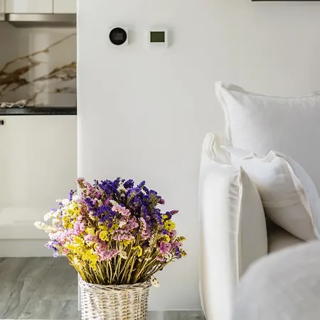 בית נופש Nefeli & Mykonos